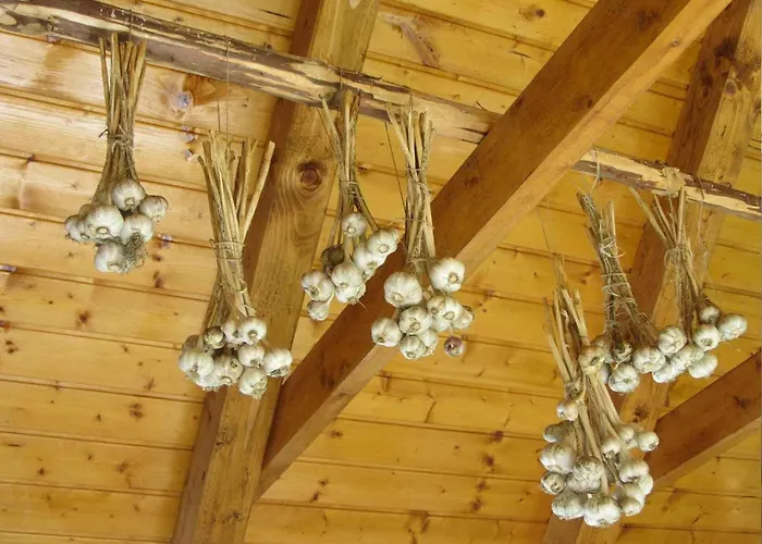 Geraeumiges Inmitten Der By Interhome بيت للعطل *