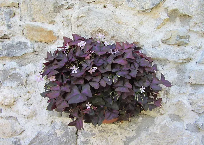 Geraeumiges Inmitten Der By Interhome *