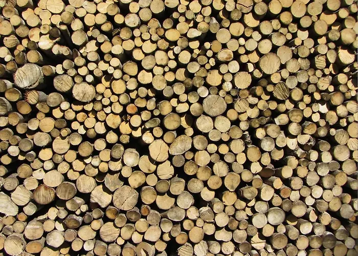 Geraeumiges Inmitten Der By Interhome