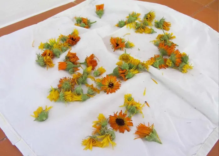 بيت للعطل Geraeumiges Inmitten Der By Interhome Dolenja Trebusa